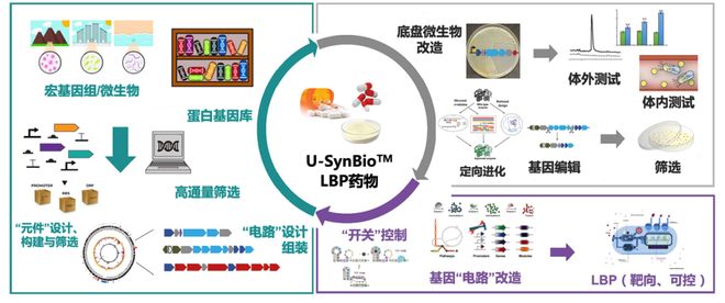 六月六日登陆日