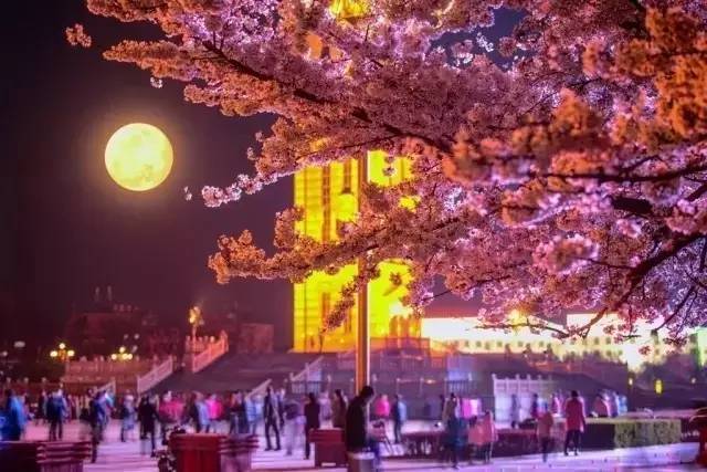 兔八哥之兔子快跑