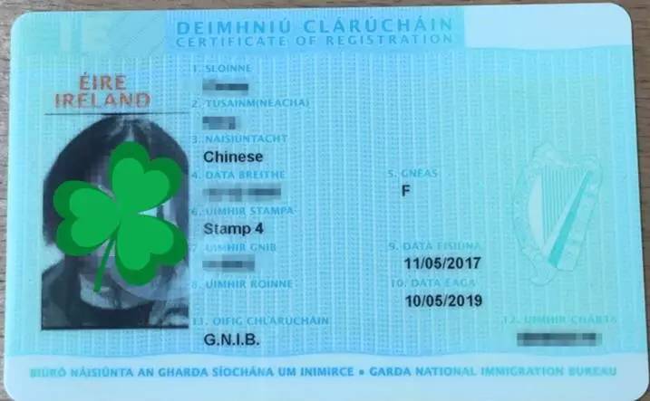 内特的梦想剧院