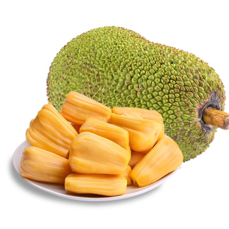 内特的梦想剧院