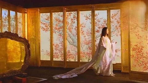 兔子镇的火狐狸