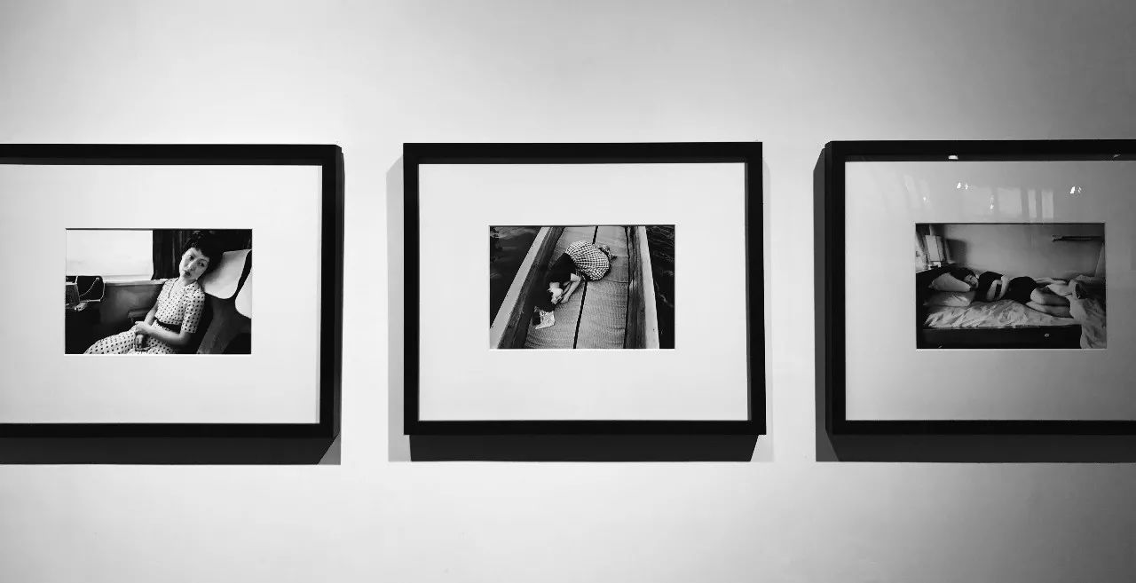 兵王归来之孤狼行动