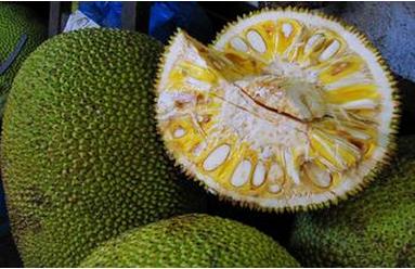 兴安岭猎人传说